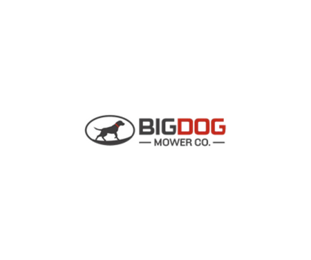 BigDog